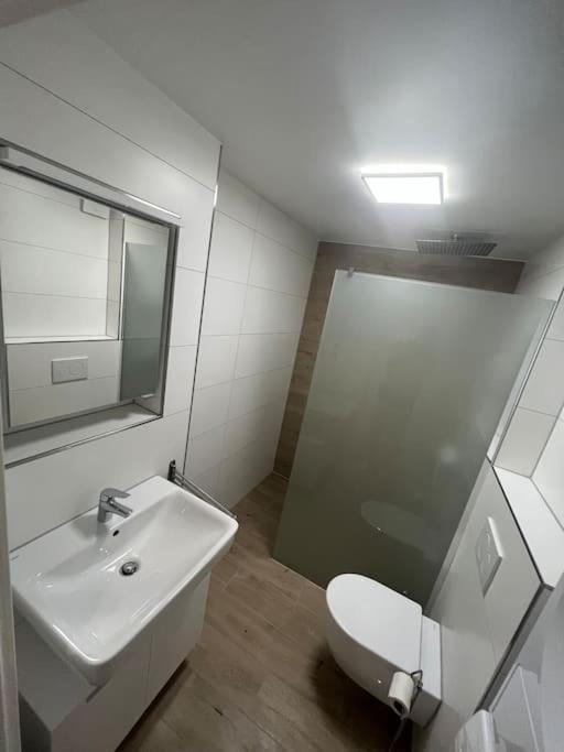 Apartment Familienwohnung Neben Dem See,messe Und Europapark